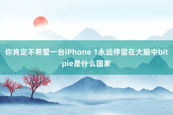 你肯定不希望一台iPhone 1永远停留在大脑中bitpie是什么国家