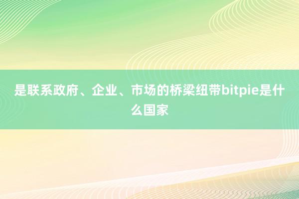 是联系政府、企业、市场的桥梁纽带bitpie是什么国家