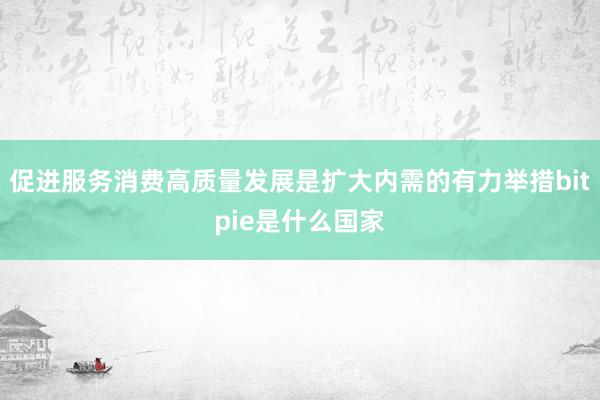 促进服务消费高质量发展是扩大内需的有力举措bitpie是什么国家