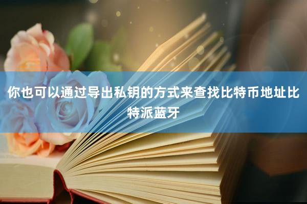 你也可以通过导出私钥的方式来查找比特币地址比特派蓝牙