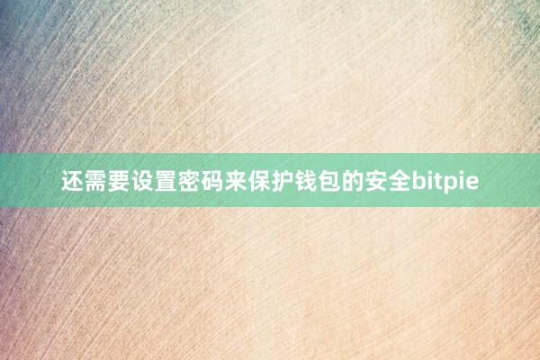 还需要设置密码来保护钱包的安全bitpie