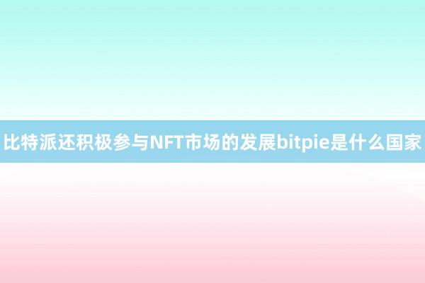 比特派还积极参与NFT市场的发展bitpie是什么国家