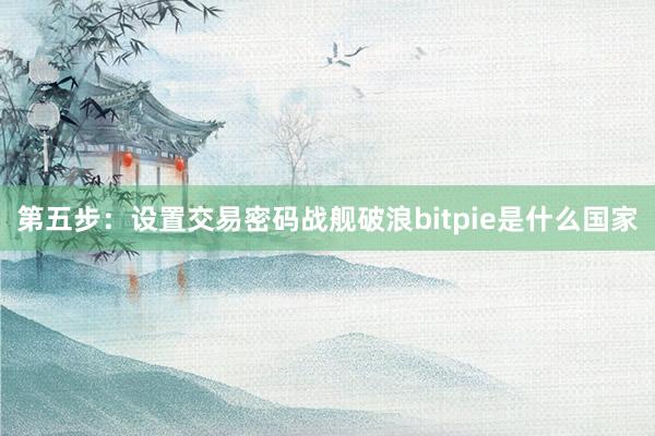 第五步：设置交易密码战舰破浪bitpie是什么国家