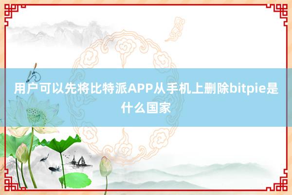 用户可以先将比特派APP从手机上删除bitpie是什么国家