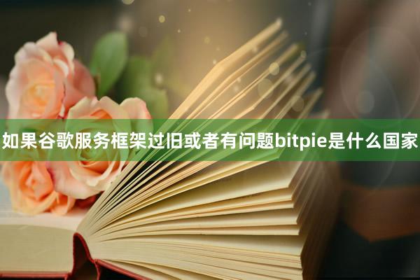 如果谷歌服务框架过旧或者有问题bitpie是什么国家