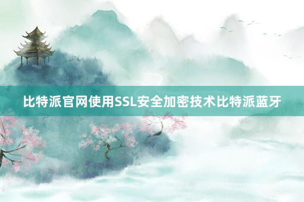 比特派官网使用SSL安全加密技术比特派蓝牙