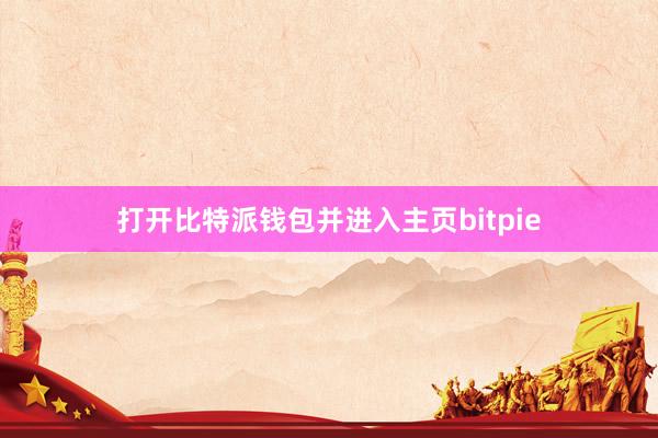 打开比特派钱包并进入主页bitpie