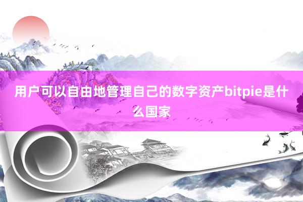 用户可以自由地管理自己的数字资产bitpie是什么国家