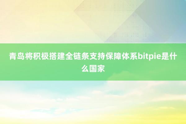 青岛将积极搭建全链条支持保障体系bitpie是什么国家