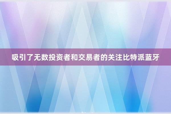 吸引了无数投资者和交易者的关注比特派蓝牙