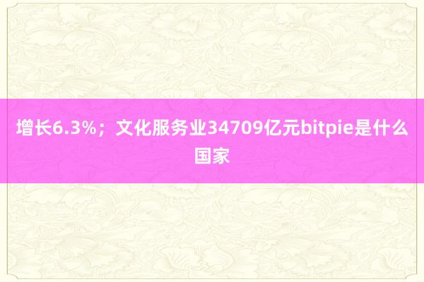 增长6.3%；文化服务业34709亿元bitpie是什么国家