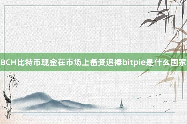 BCH比特币现金在市场上备受追捧bitpie是什么国家