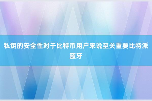 私钥的安全性对于比特币用户来说至关重要比特派蓝牙