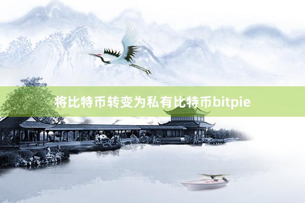 将比特币转变为私有比特币bitpie