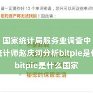 国家统计局服务业调查中心高级统计师赵庆河分析bitpie是什么国家