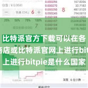 比特派官方下载可以在各大应用商店或比特派官网上进行bitpie是什么国家