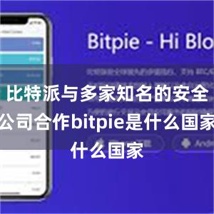 比特派与多家知名的安全公司合作bitpie是什么国家