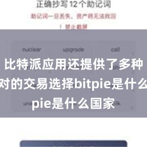 比特派应用还提供了多种货币对的交易选择bitpie是什么国家