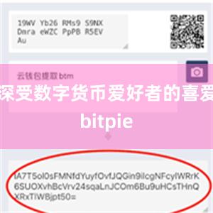 深受数字货币爱好者的喜爱bitpie