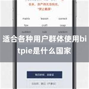 适合各种用户群体使用bitpie是什么国家