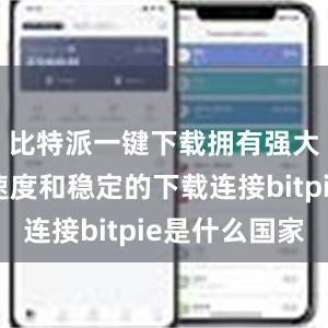 比特派一键下载拥有强大的下载速度和稳定的下载连接bitpie是什么国家