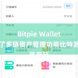 Bitpie Wallet新增了多链资产管理功能比特派蓝牙