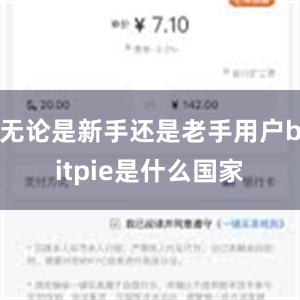 无论是新手还是老手用户bitpie是什么国家