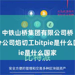 中铁山桥集团有限公司桥梁分公司焰切工bitpie是什么国家