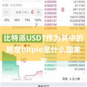 比特派USDT作为其中的翘楚bitpie是什么国家