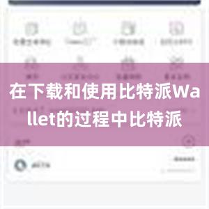 在下载和使用比特派Wallet的过程中比特派